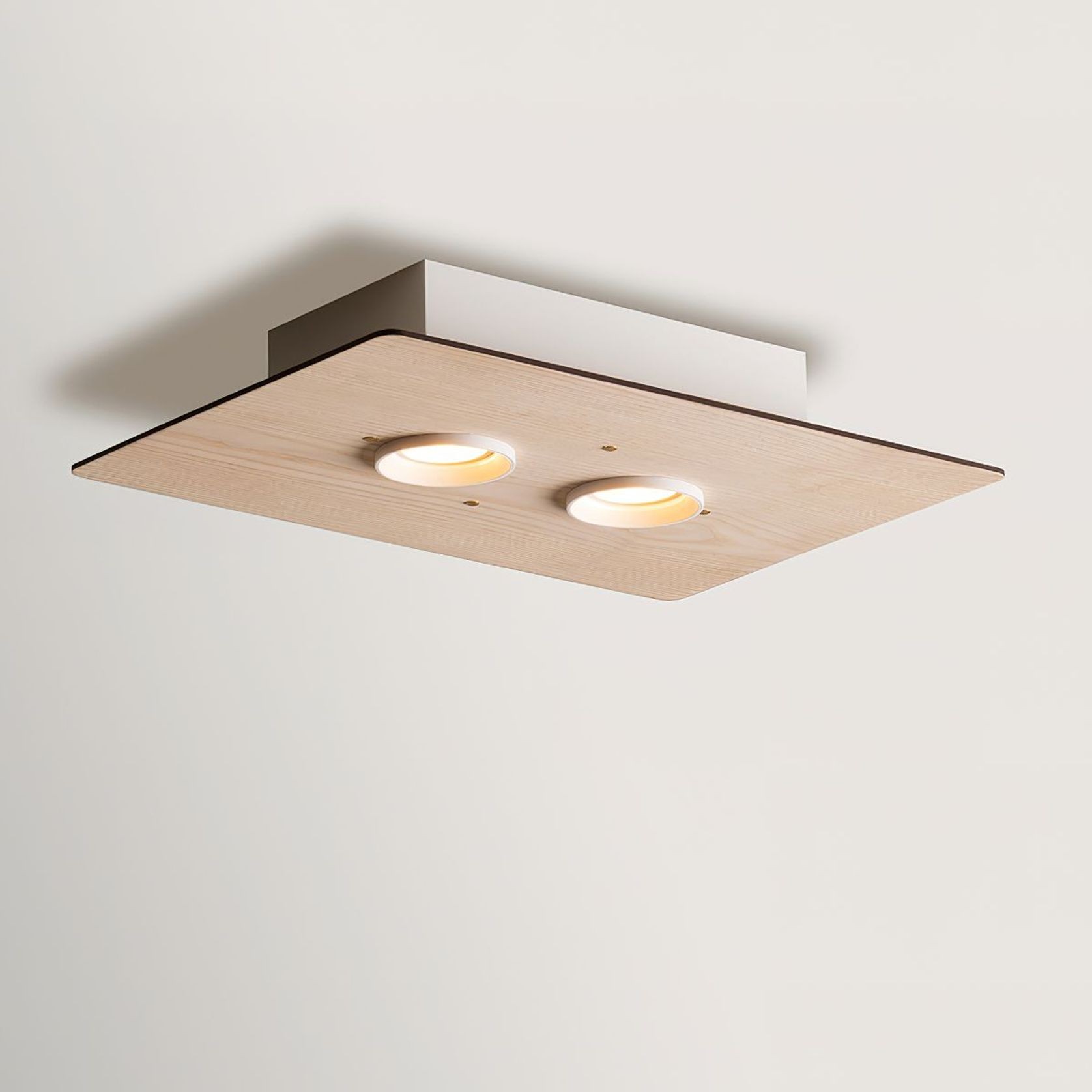Equal Twin Ceiling Light gallery detail image