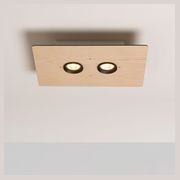 Equal Twin Ceiling Light gallery detail image