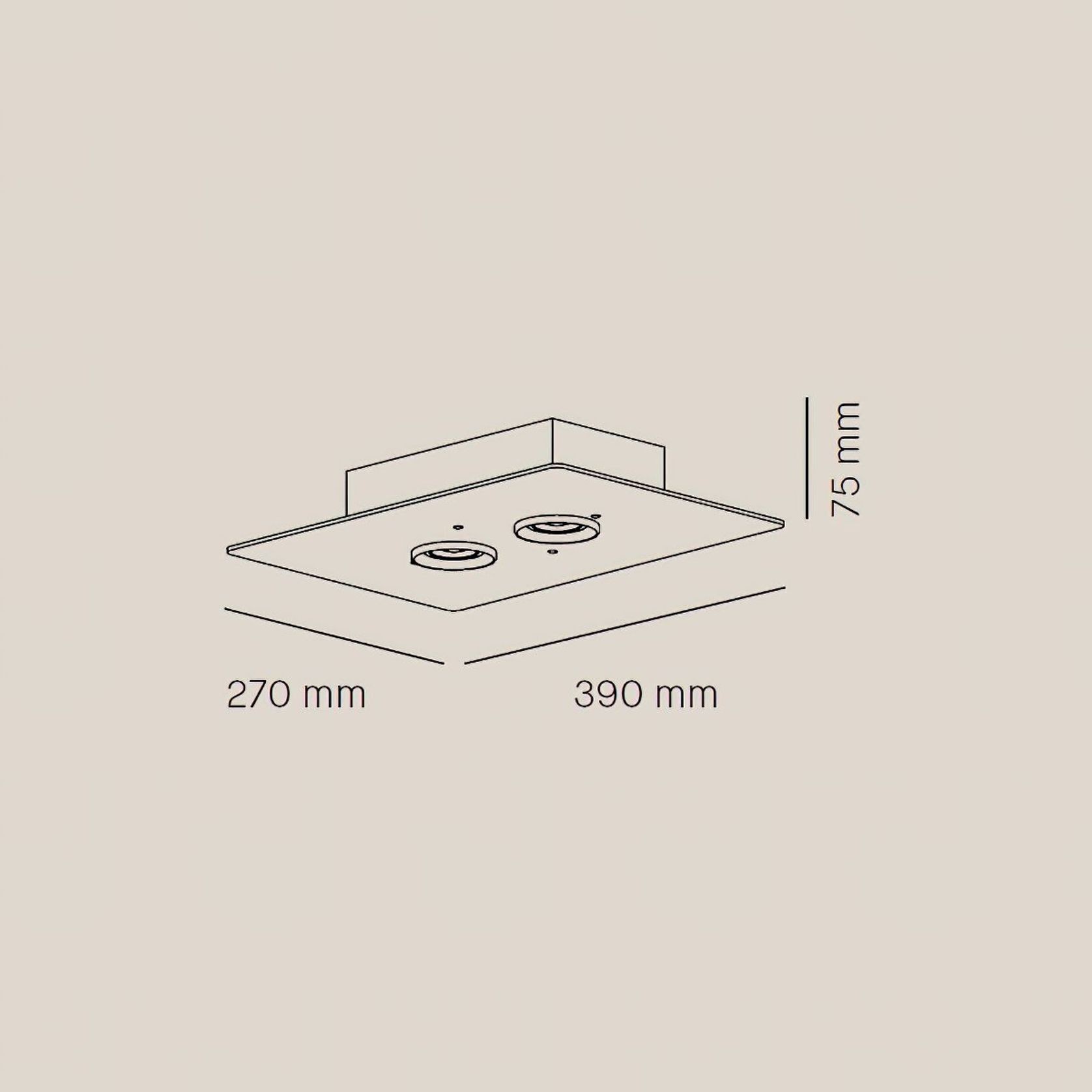 Equal Twin Ceiling Light gallery detail image