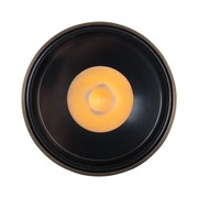 Nocturnal Firefly Surface Downlight gallery detail image
