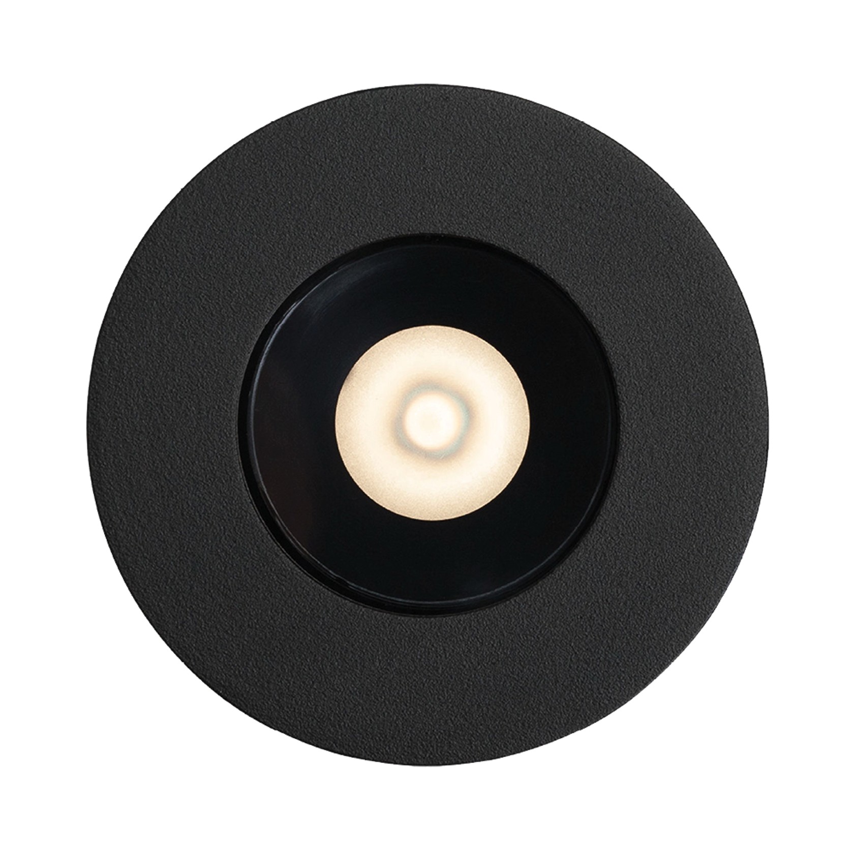 Nocturnal Firefly Downlight gallery detail image