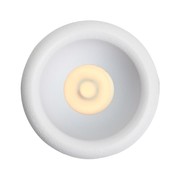Nocturnal Shooting Star Downlight gallery detail image