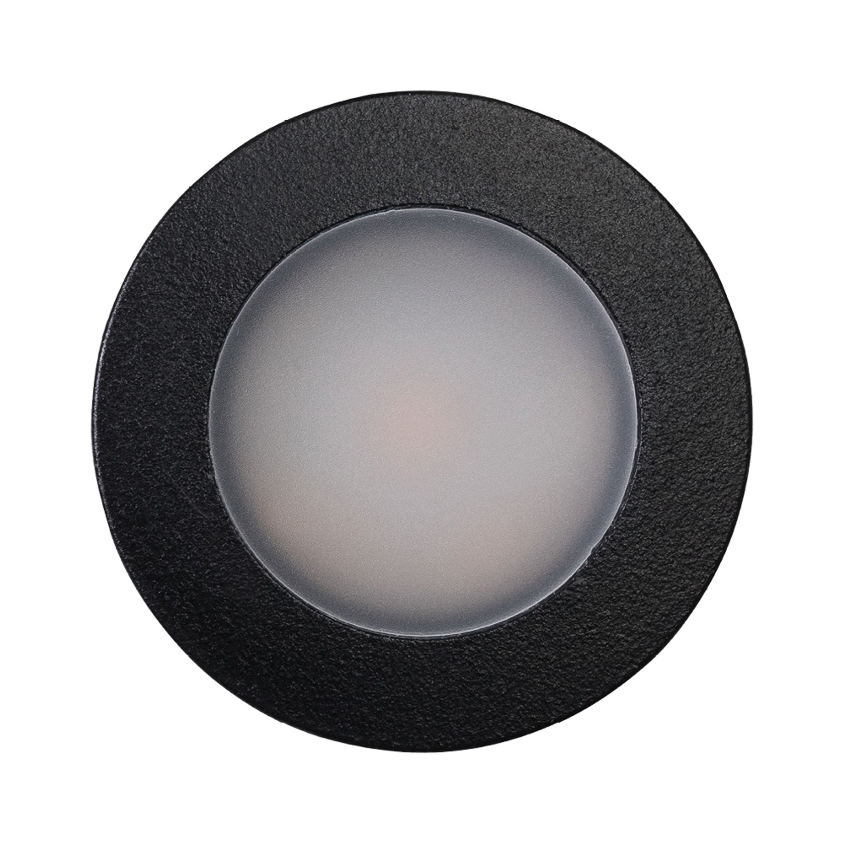 Nocturnal Weebil Downlight gallery detail image