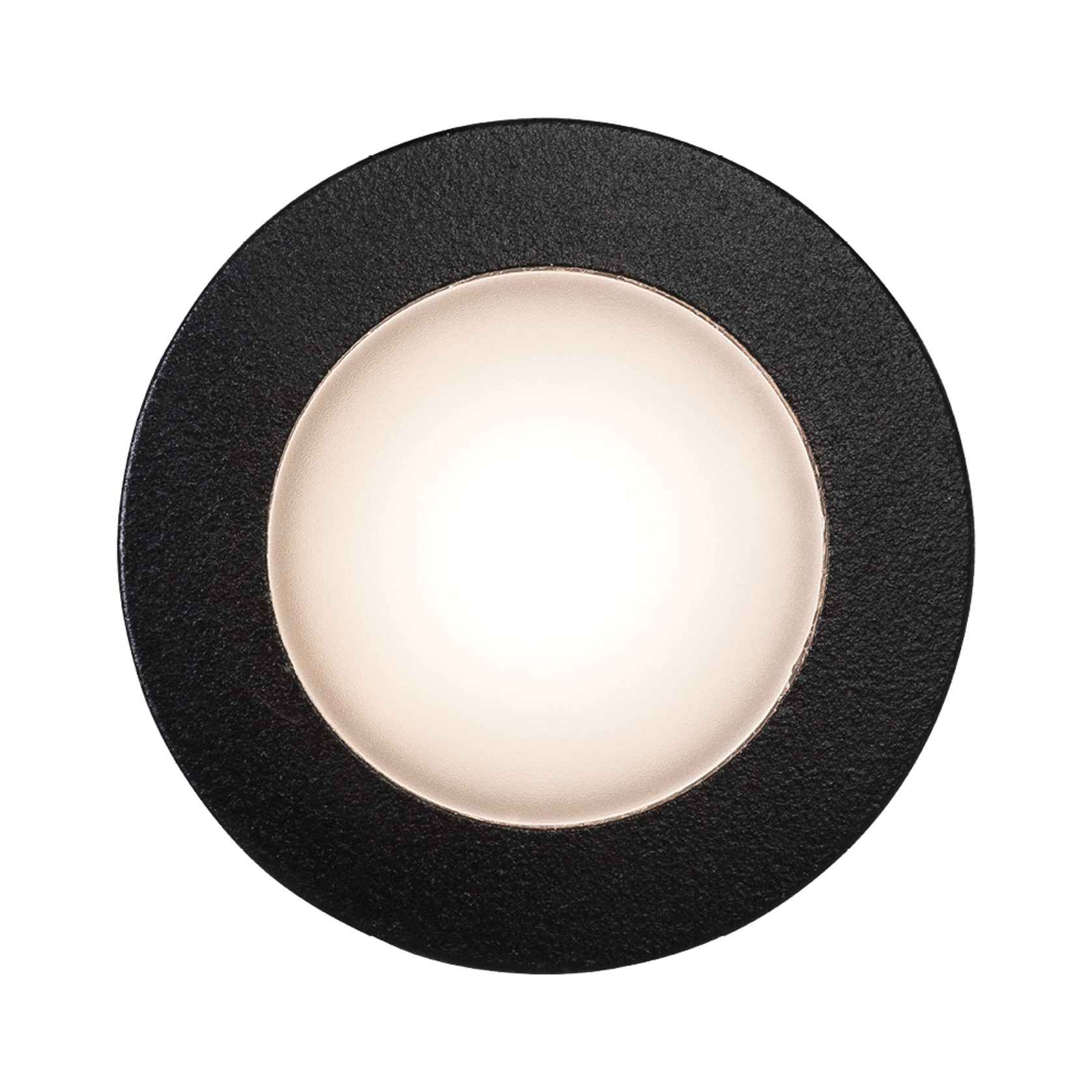 Nocturnal Weebil Downlight gallery detail image