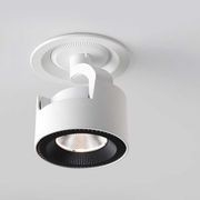 White adjustable downlight