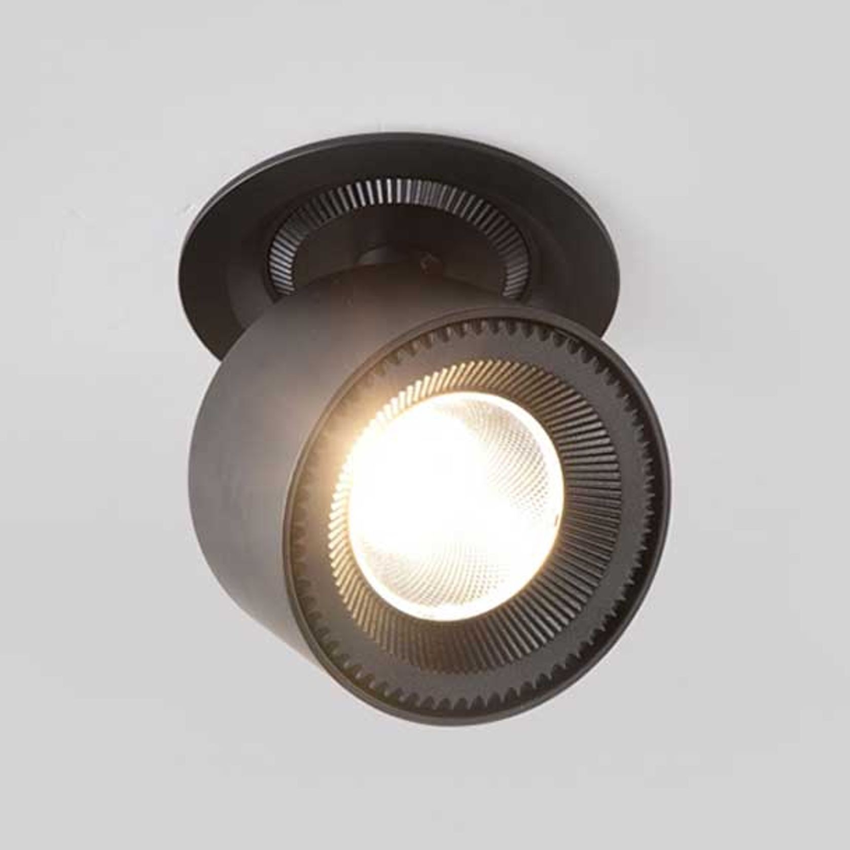 adjustable downlight