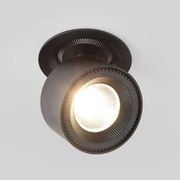 adjustable downlight