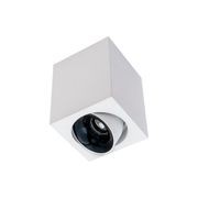Cevon Dark Art - 10W Tilt/Rotate Surface Mount Light gallery detail image