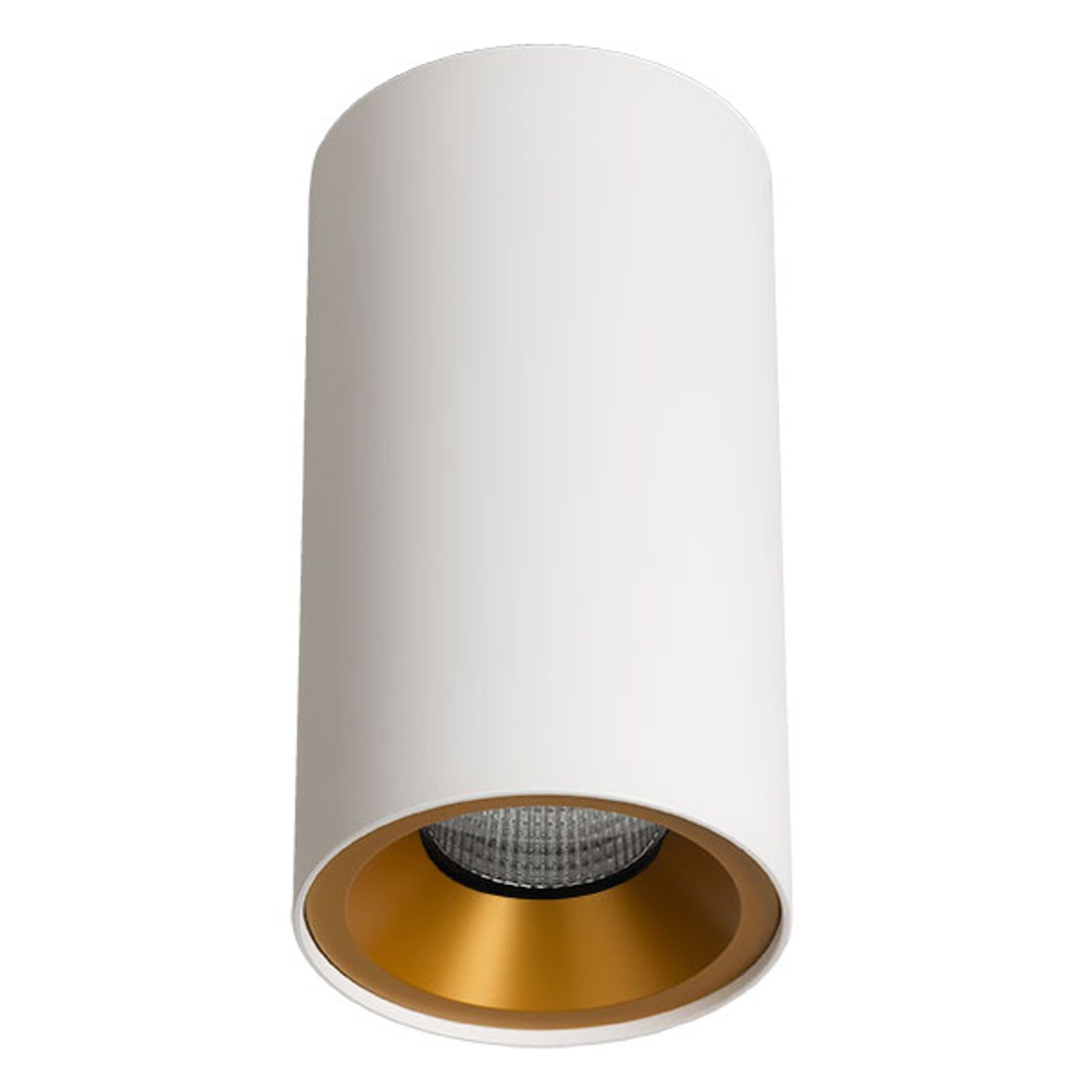 ZELA Décor Surface Mount Fixed 1 Downlight gallery detail image
