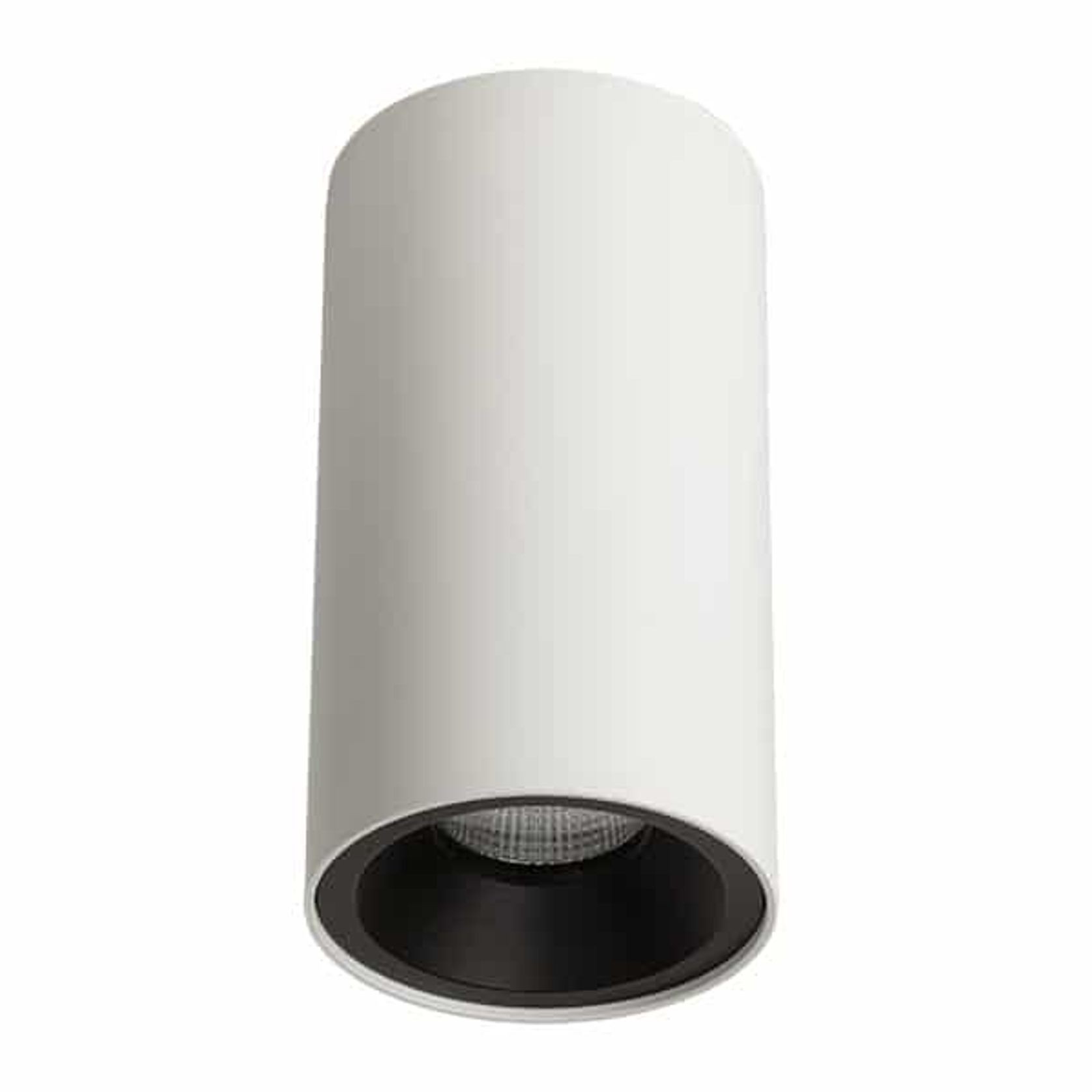 ZELA Décor Surface Mount Fixed 1 Downlight gallery detail image
