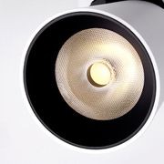 Adjustable Downlight