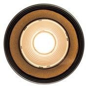 Nocturnal Firefly XL Can Downlight gallery detail image