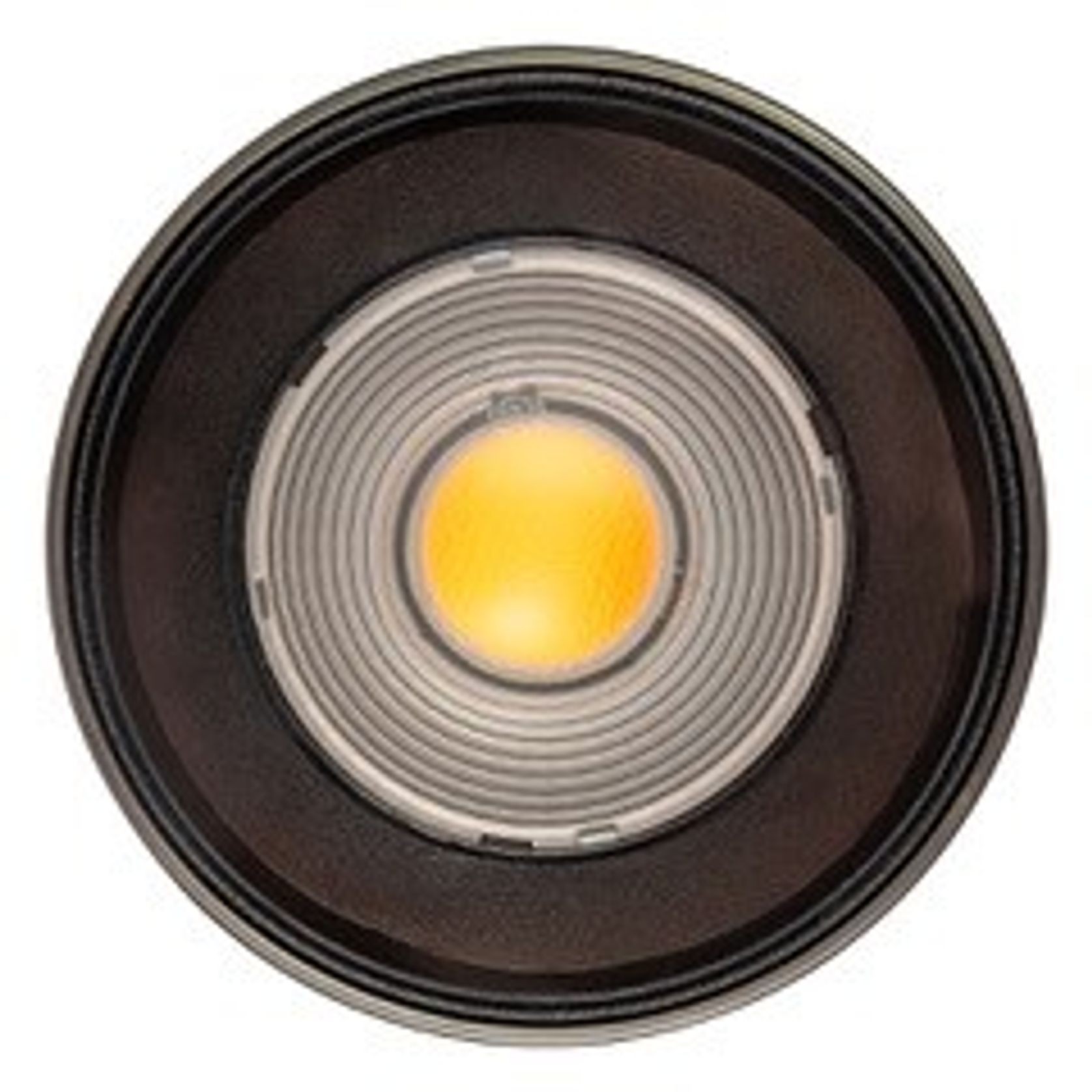 Nocturnal Firefly XL Can Downlight gallery detail image