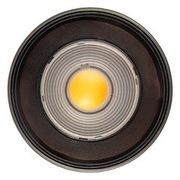 Nocturnal Firefly XL Can Downlight gallery detail image