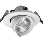 PICTON DL77 Extend Tilt Swivel Downlight gallery detail image