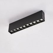 Linear surface mounted light