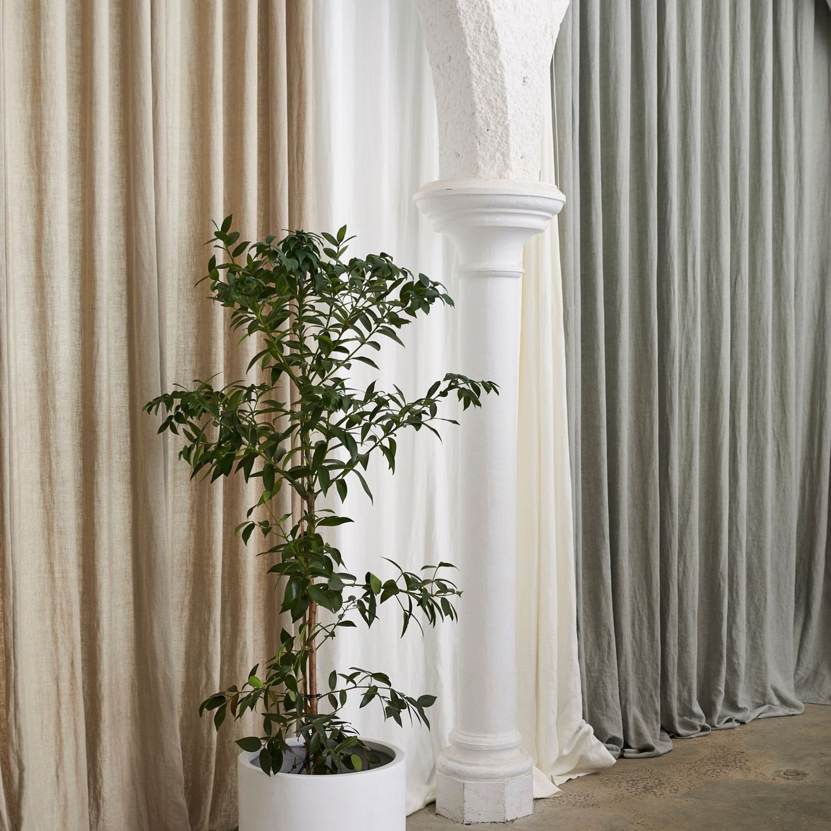 Linesta by Warwick | Drapery gallery detail image