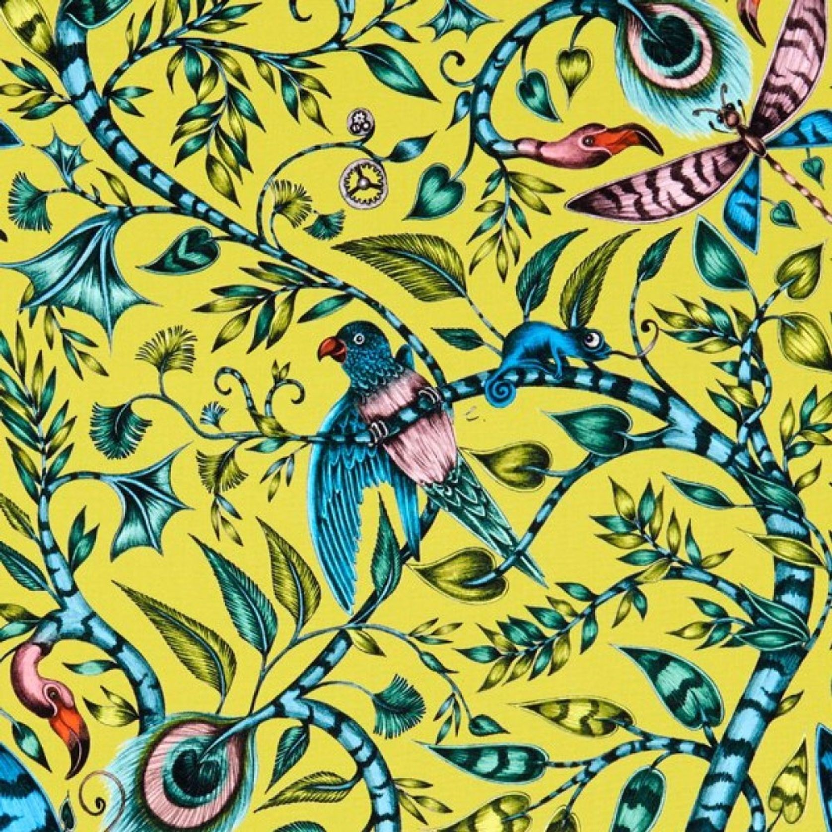 CLARKE & CLARKE - ANAMALIA COLLECTION gallery detail image