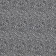 Clarke and Clarke - Alfresco gallery detail image