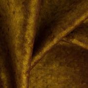 Opera by Zepel FibreGuard gallery detail image