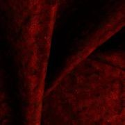 Opera by Zepel FibreGuard gallery detail image