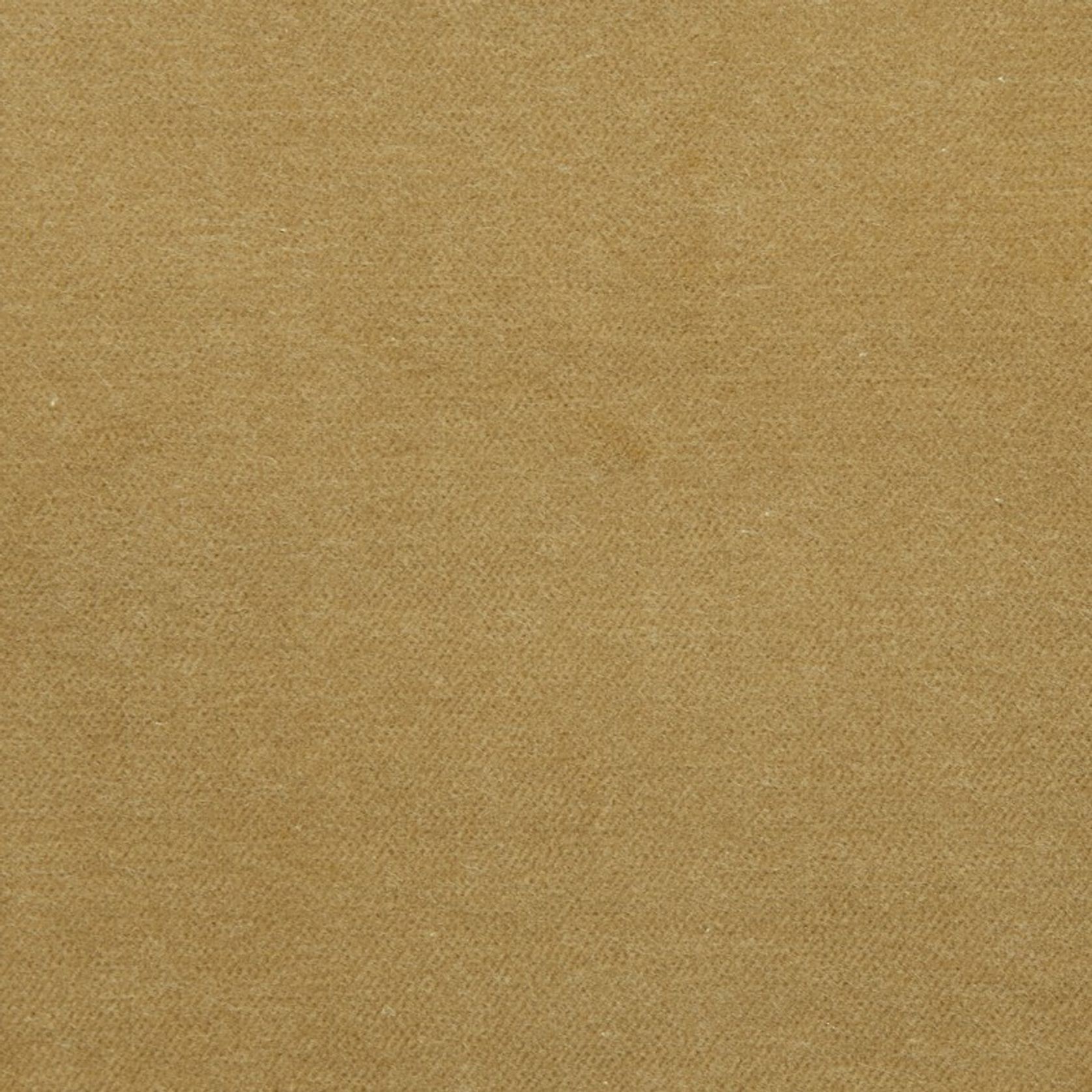 Lux Velvet by Zepel gallery detail image