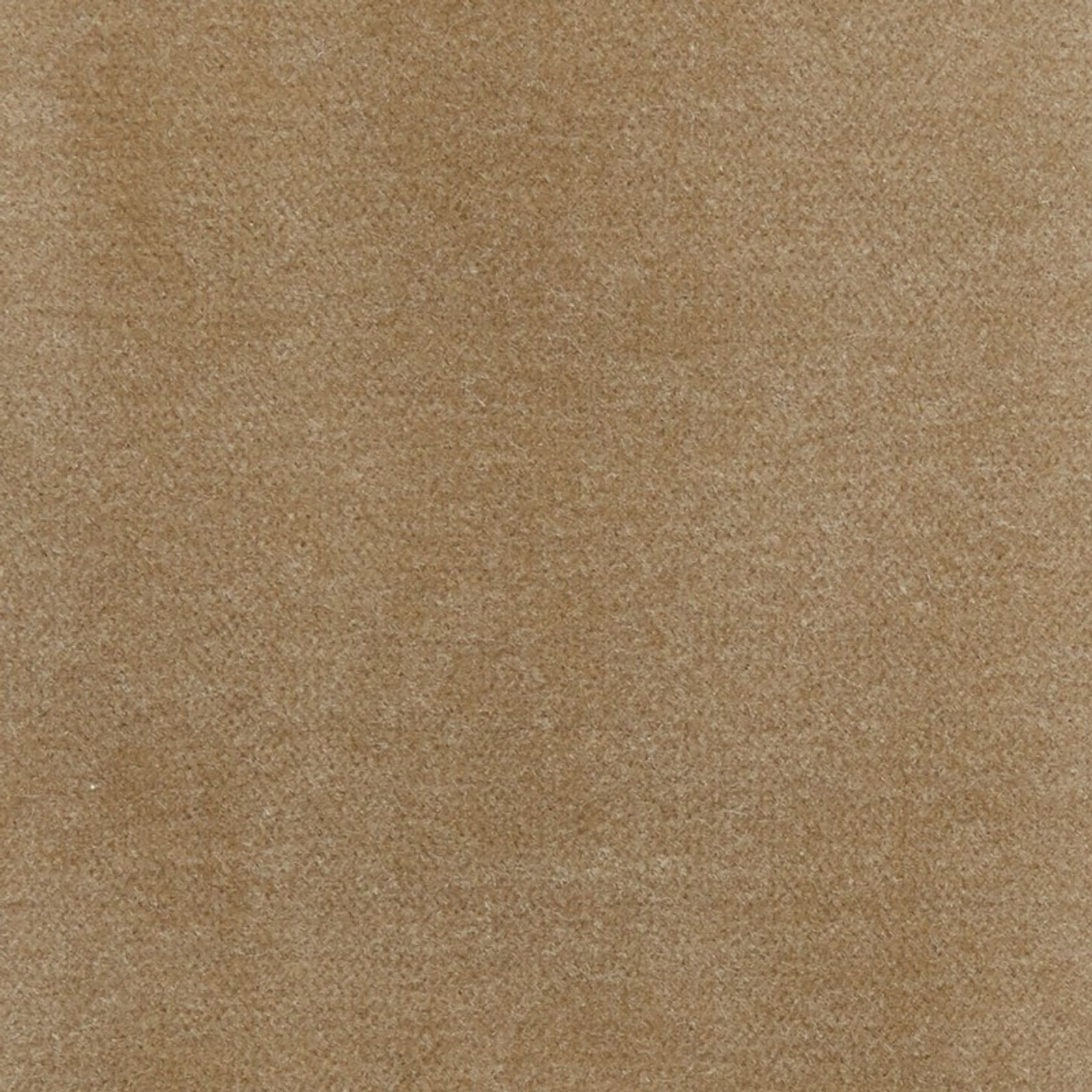 Lux Velvet by Zepel gallery detail image