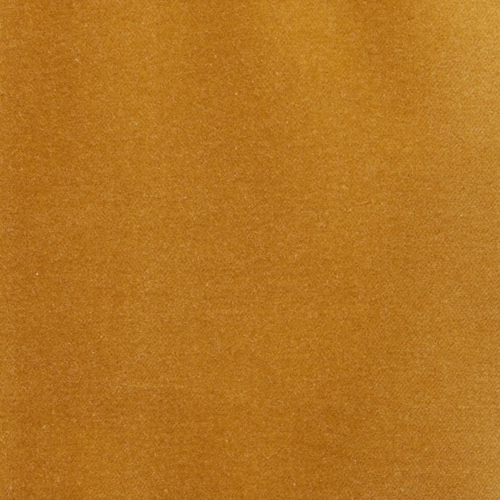 Lux Velvet by Zepel gallery detail image
