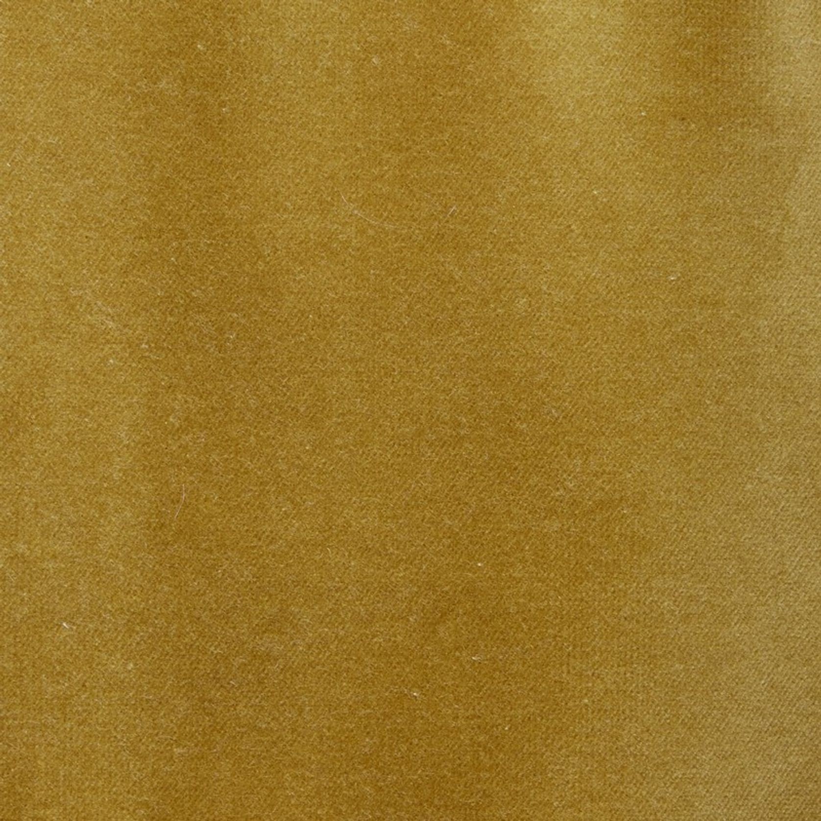 Lux Velvet by Zepel gallery detail image