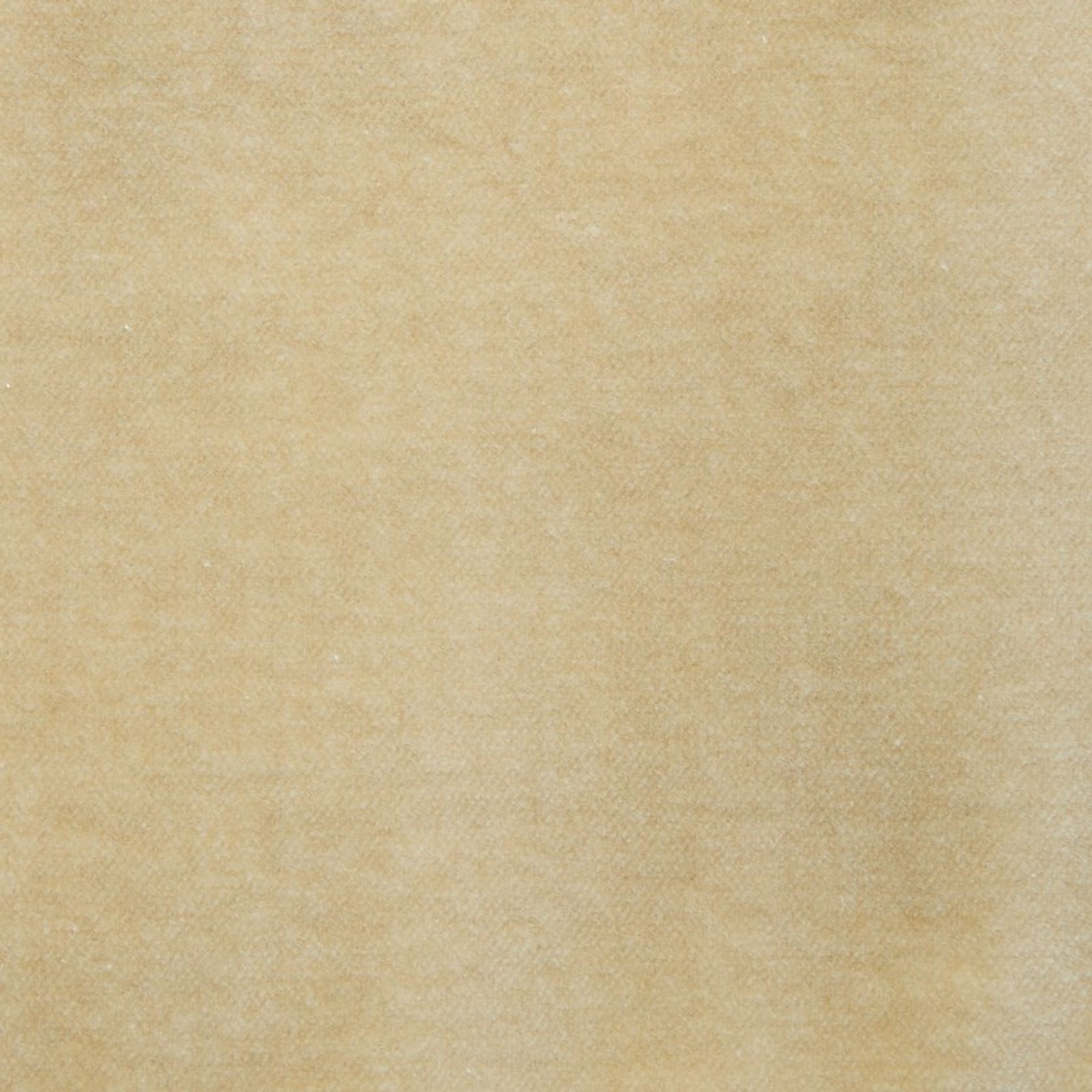 Lux Velvet by Zepel gallery detail image