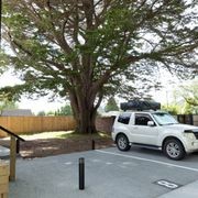 Tree Protection Zones (TPZ) by Permcon gallery detail image