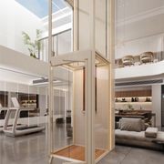 Platform Home Lift l G gallery detail image