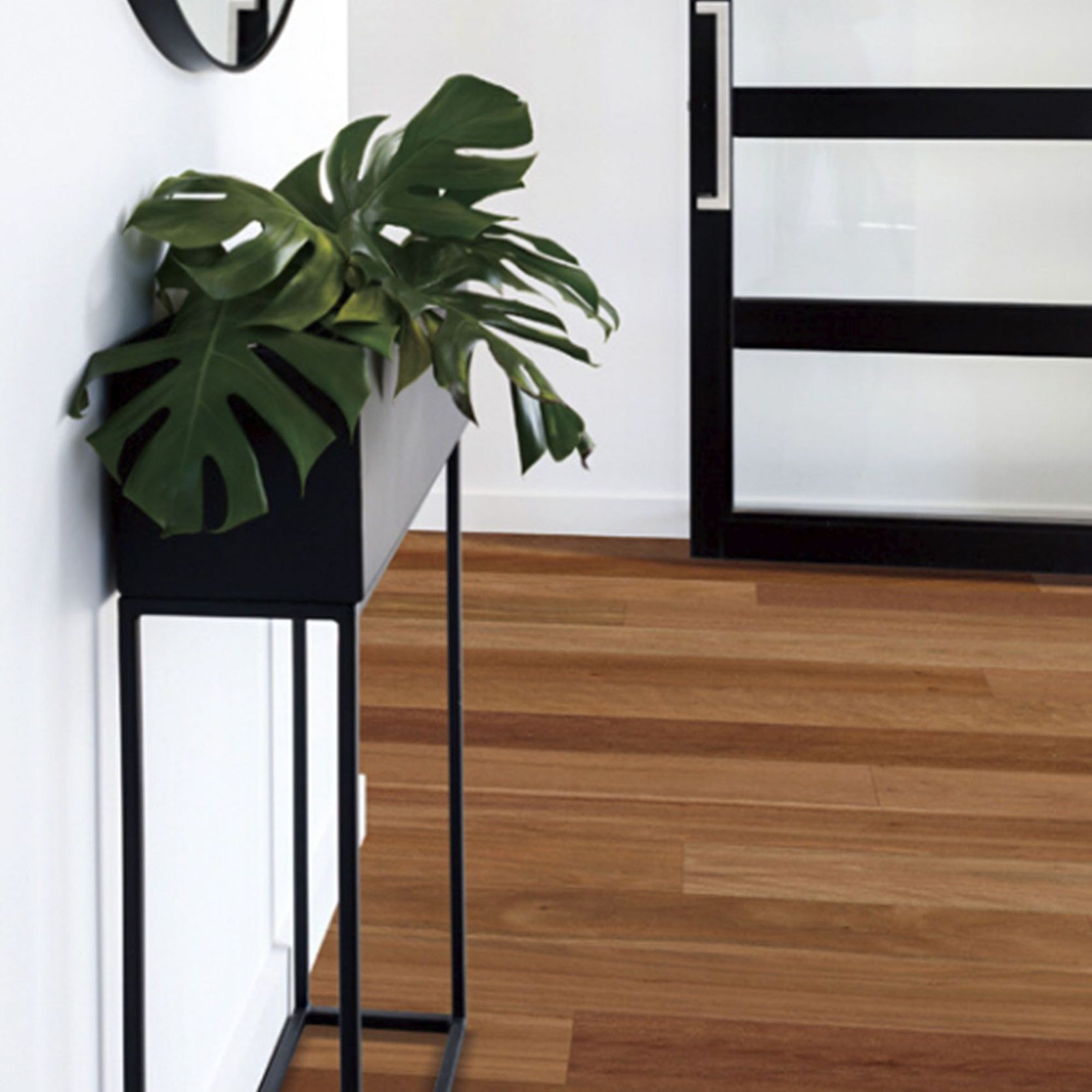 Brush Box | Australian Native Engineered Timber Flooring gallery detail image