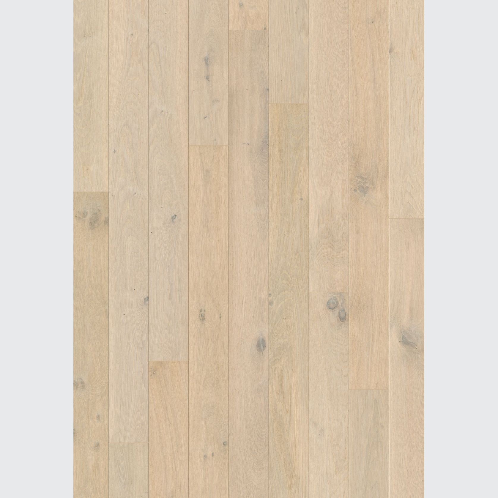 Quick-Step Amato Wintry Forest Oak Extra Matt Timber Flooring gallery detail image