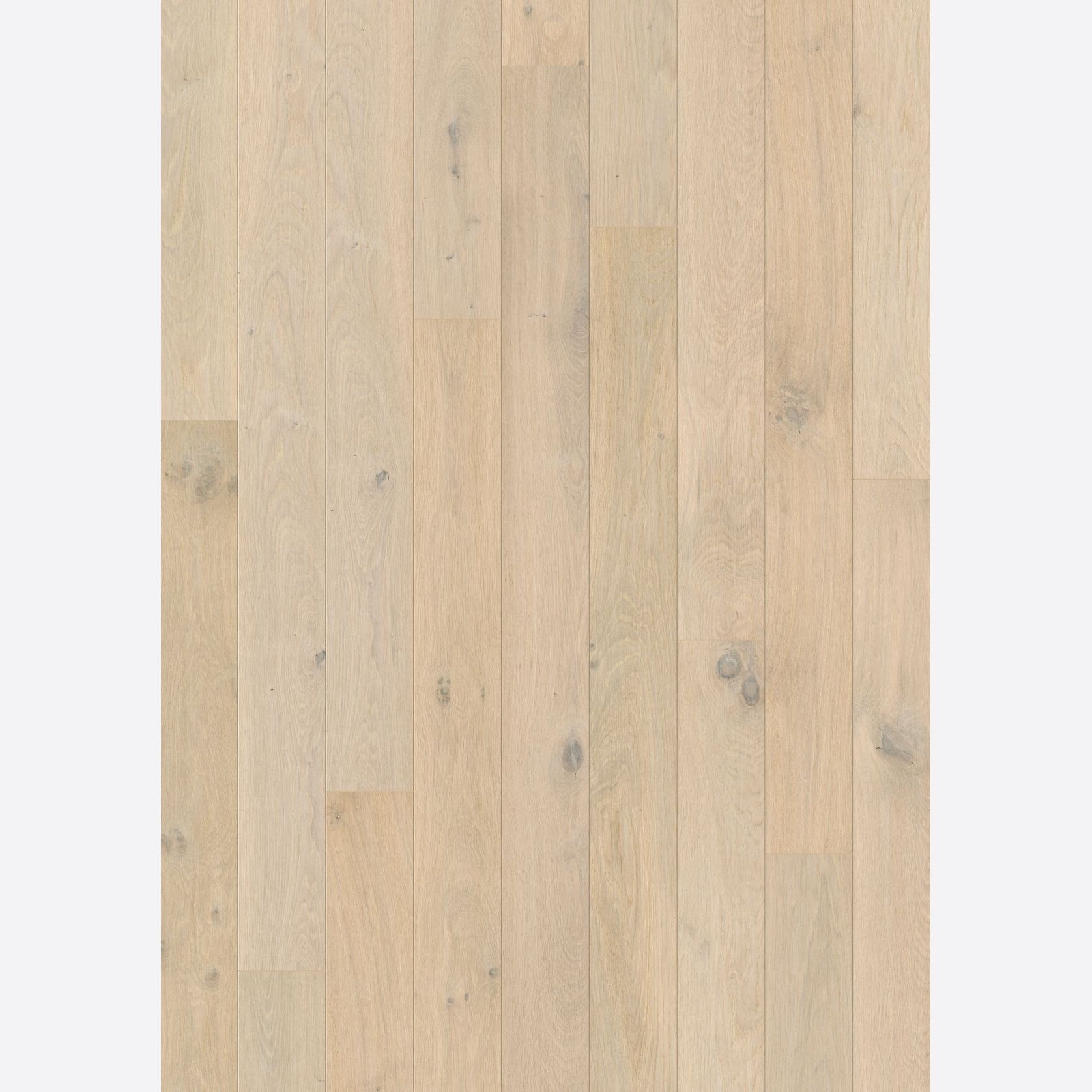 Quick-Step Amato Wintry Forest Oak Extra Matt Timber Flooring gallery detail image