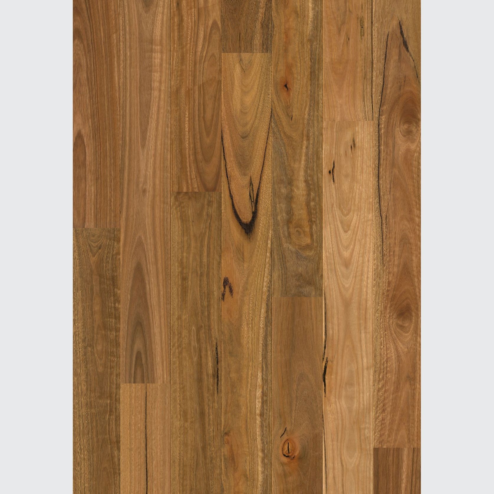 Quick-Step Amato Spotted Gum Flooring gallery detail image