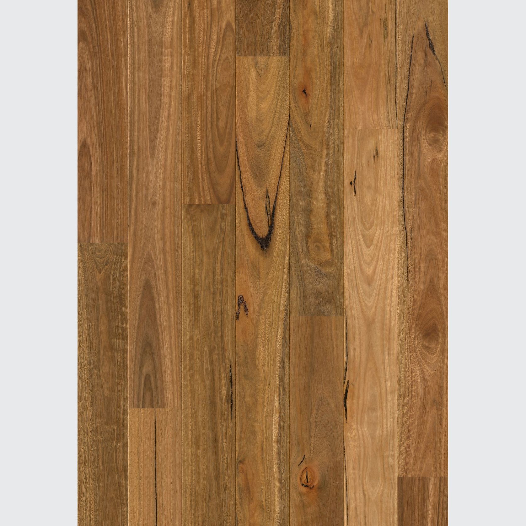 Quick-Step Amato Spotted Gum Timber Flooring gallery detail image