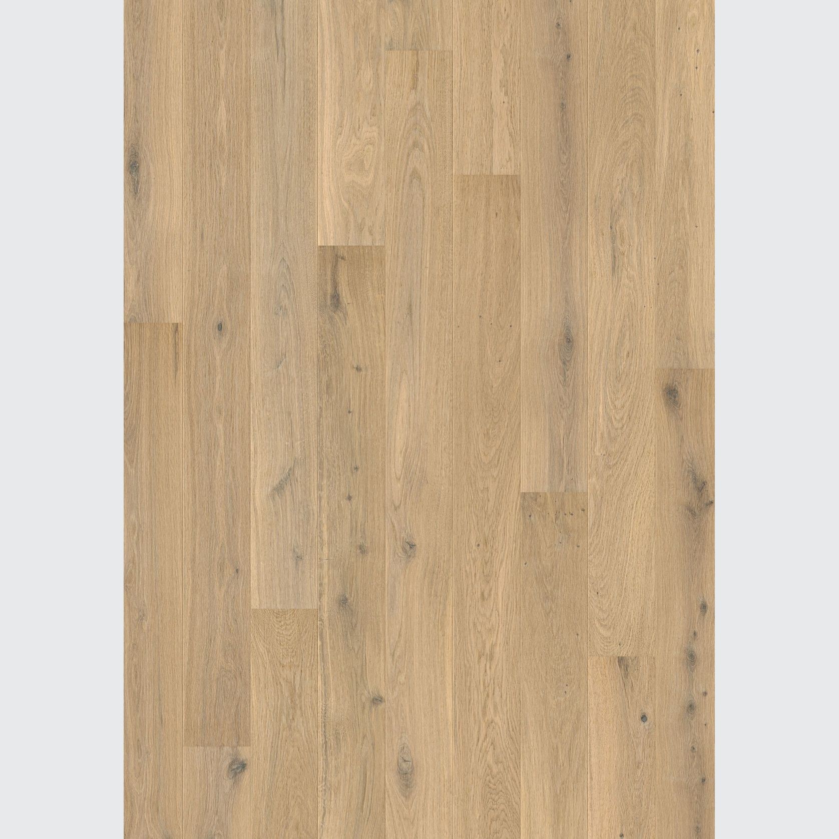 Quick-Step Amato Pure Oak Extra Matt Flooring gallery detail image