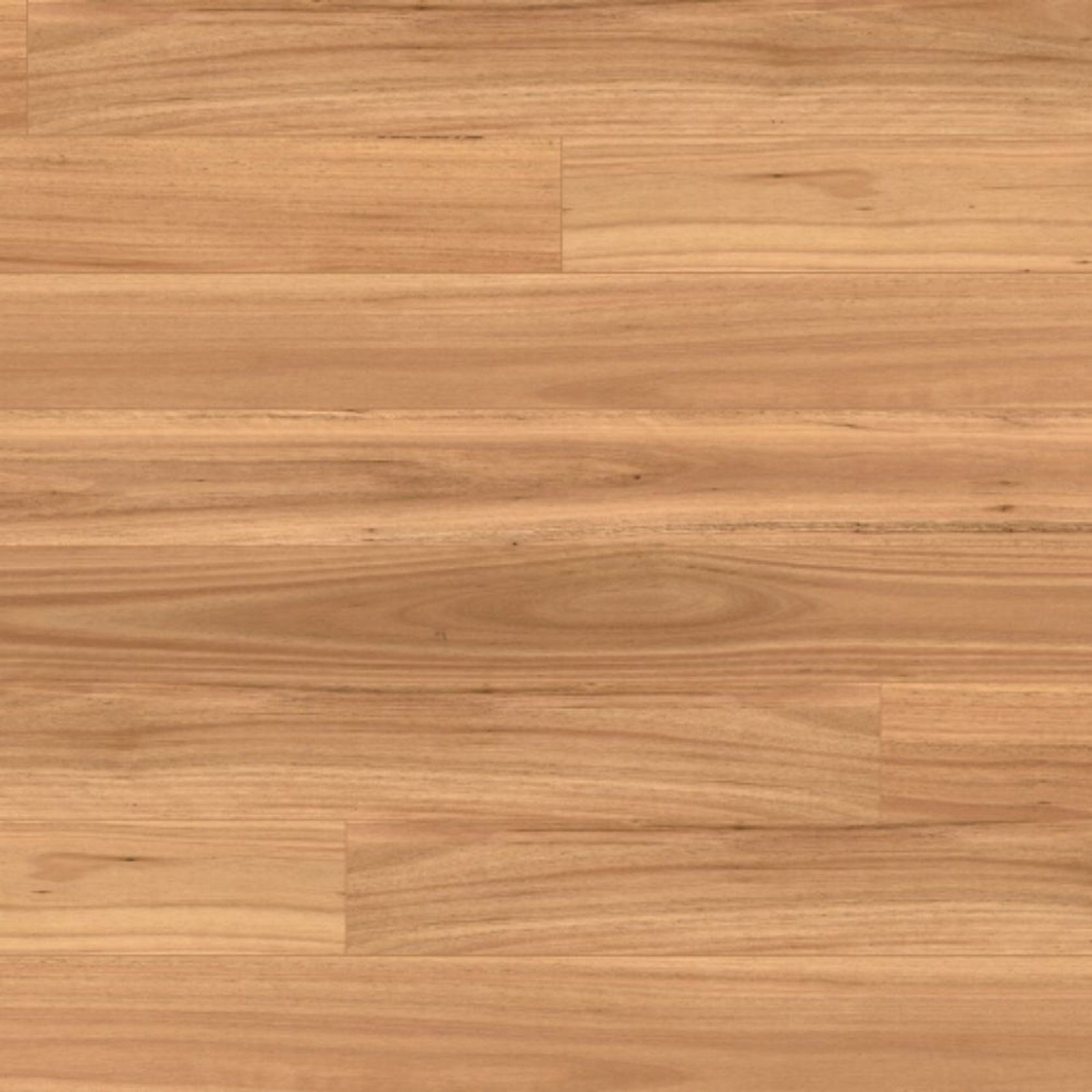 Australian Native Optimise - Engineered Flooring gallery detail image