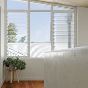Maculata | Aloura Collection gallery detail image