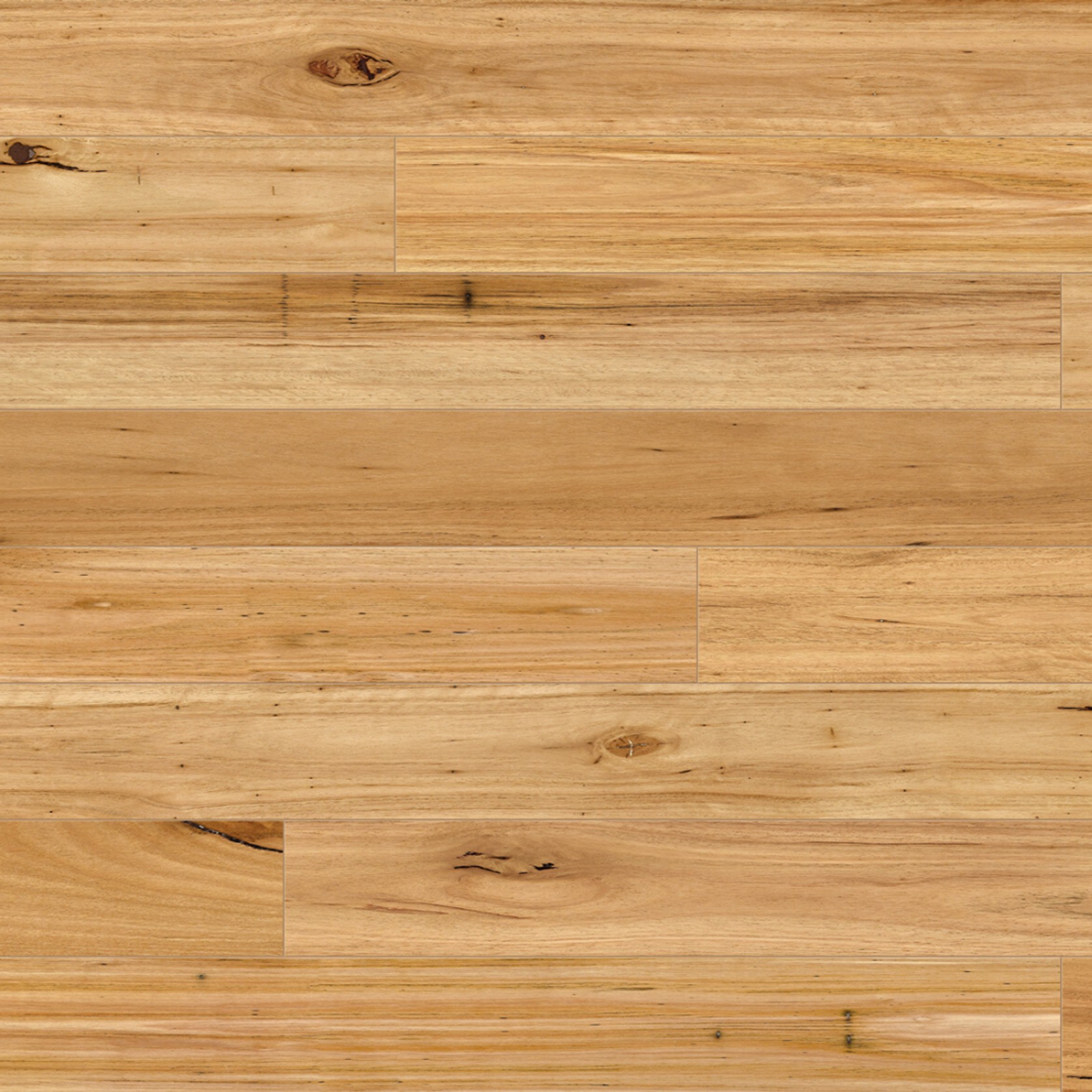 Australian Native - Engineered Flooring gallery detail image