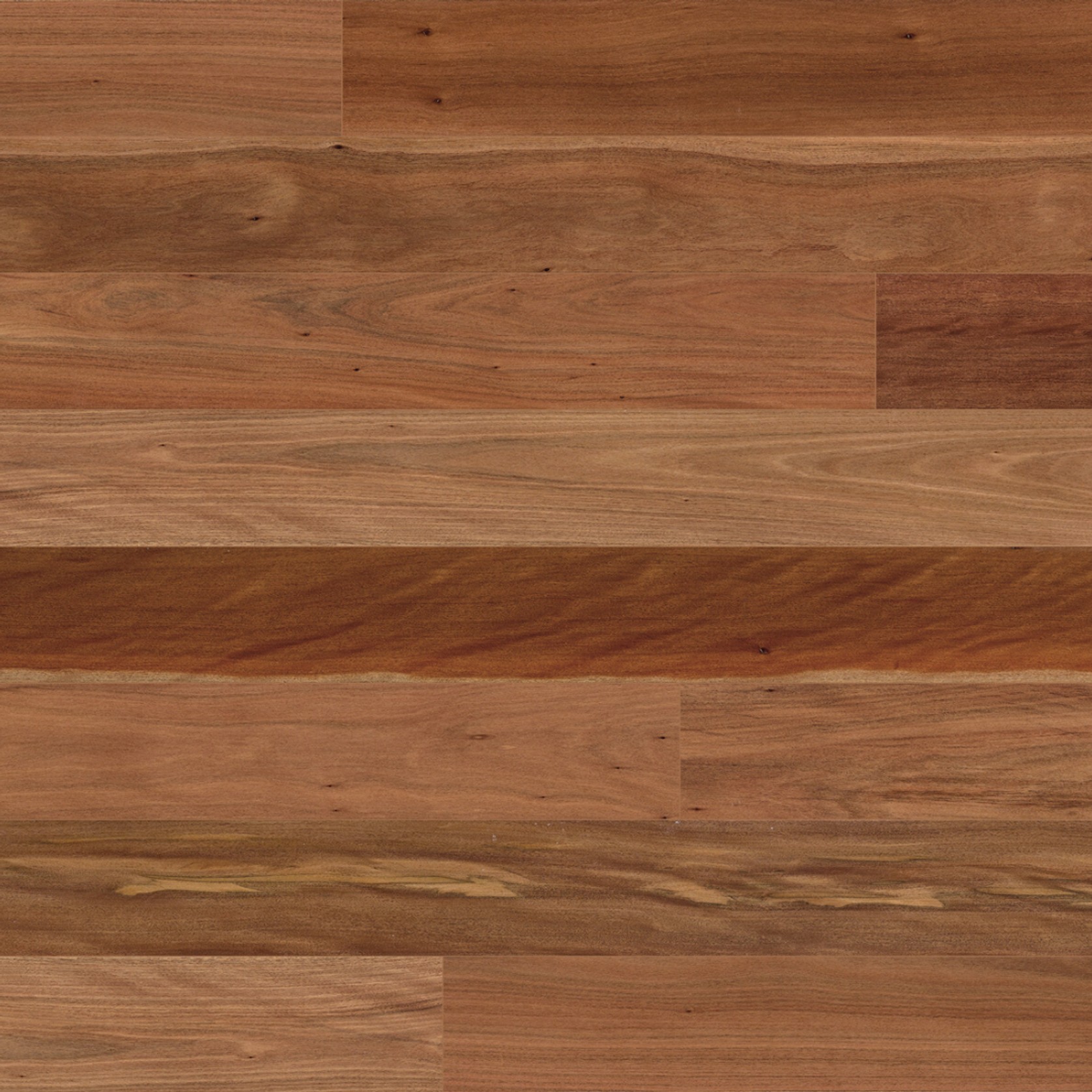 Australian Native - Engineered Flooring gallery detail image