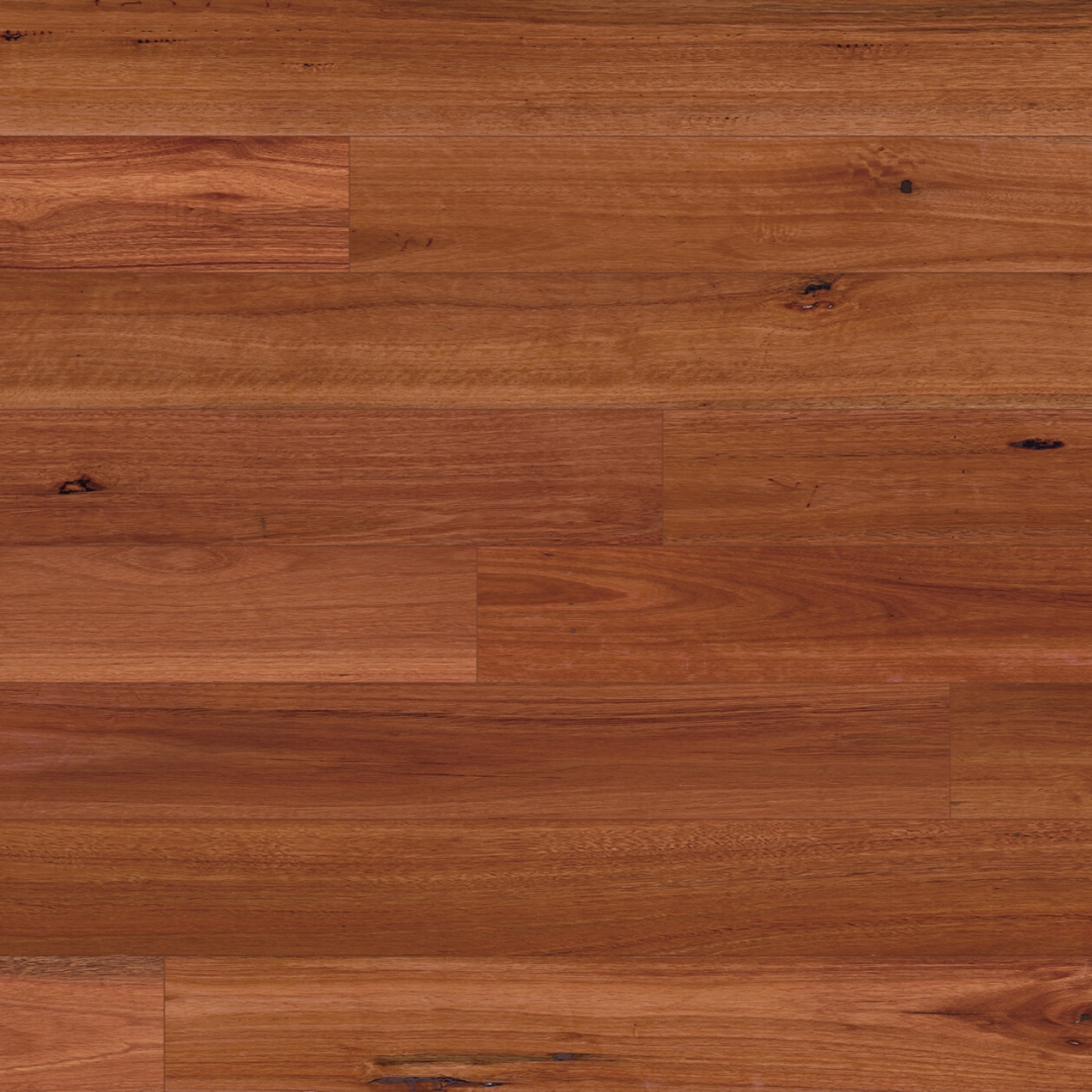 Australian Native - Engineered Flooring gallery detail image