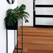 Australian Native - Engineered Flooring gallery detail image