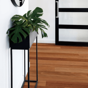 Australian Native - Engineered Flooring gallery detail image