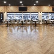 Pallido Chevron The Italian Collection Timber Flooring gallery detail image