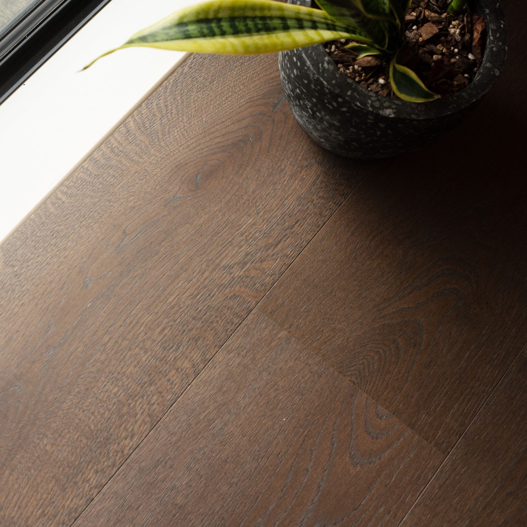 Boen Castle 209 Live Pure Elephant Grey | Espressivo Grade gallery detail image