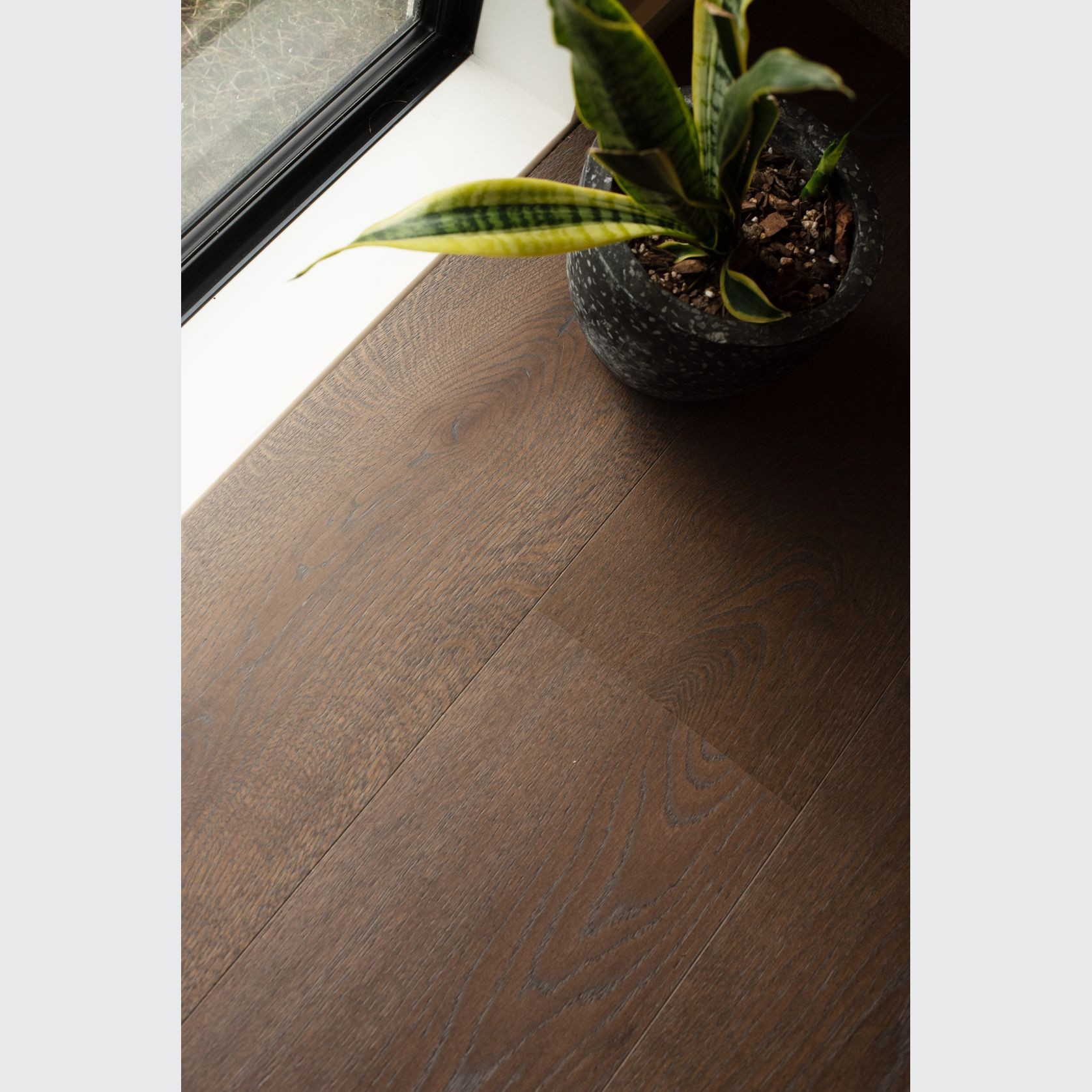 Boen Castle 209 Live Pure Elephant Grey | Espressivo Grade gallery detail image