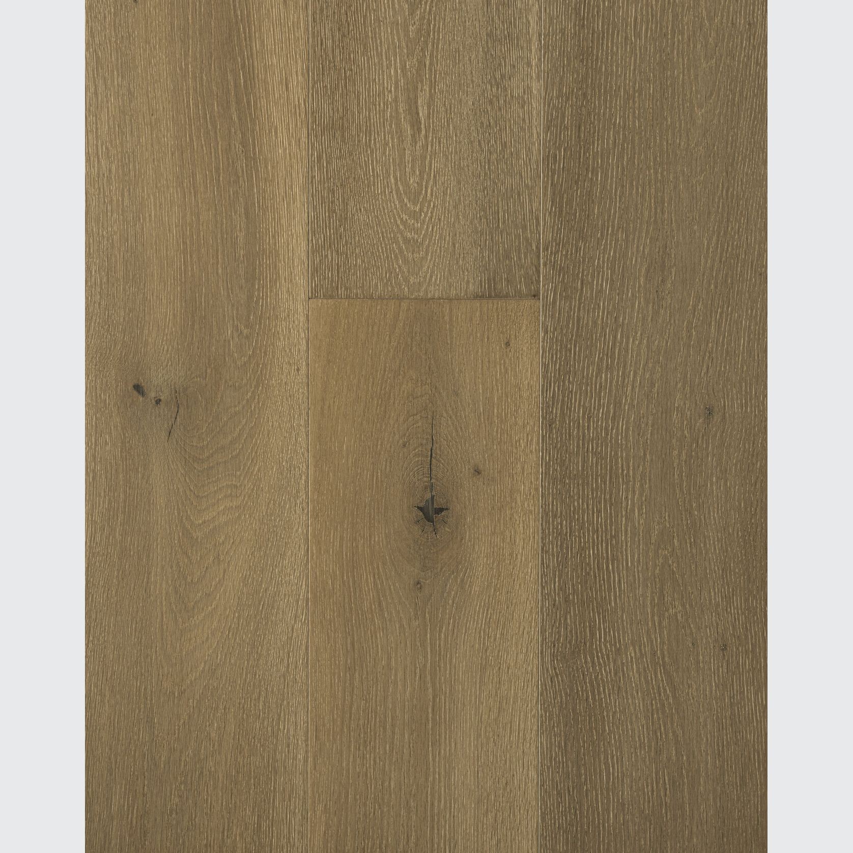 Indus Sahara Feature European Oak Flooring gallery detail image