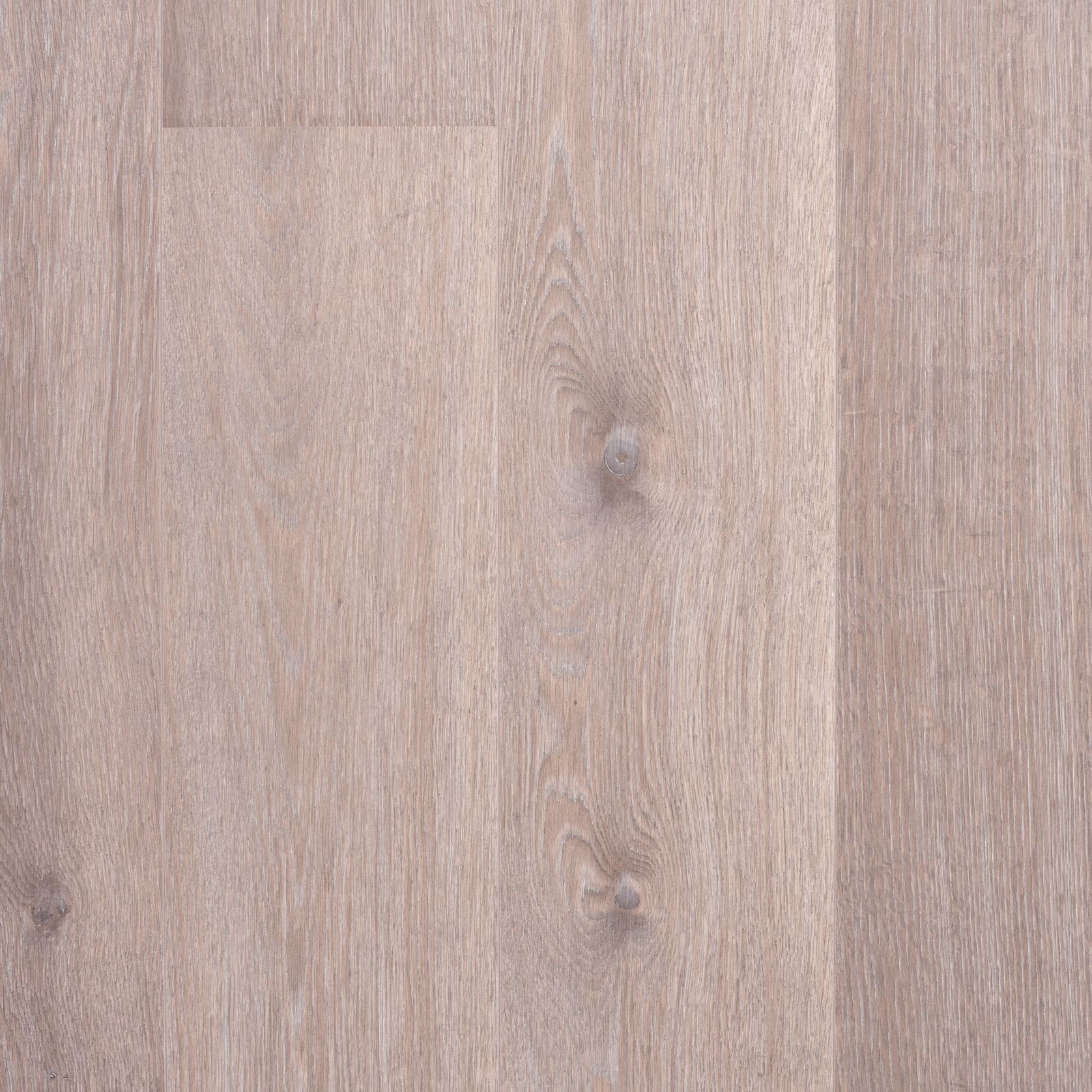 Boen 181 Live Pure Grey Harmony | Animoso Grade gallery detail image